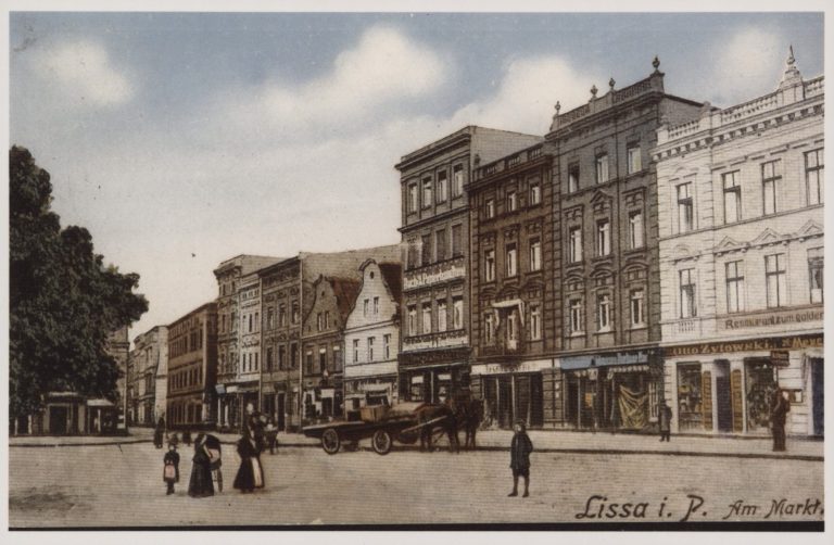 Strona główna 13